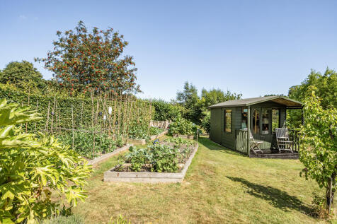 Garden (4)