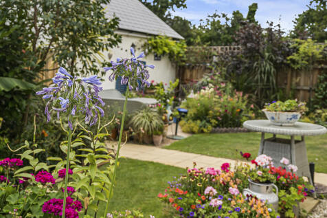 Garden 3
