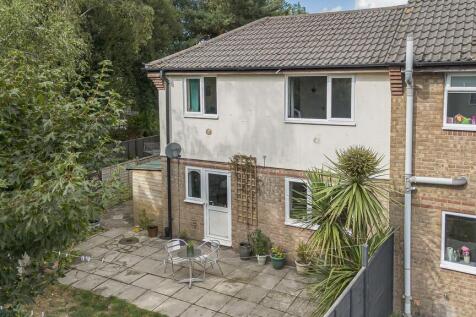 Rear of Property 