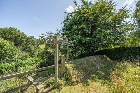 Garden (2)