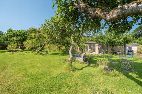 Orchard 