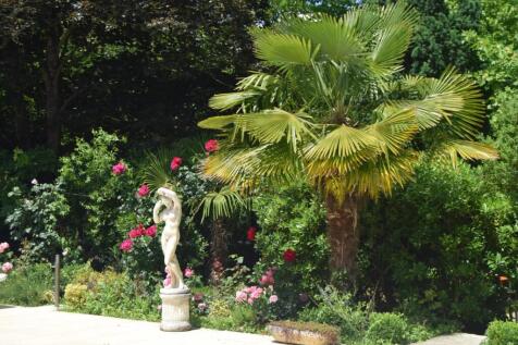 Property Image 6