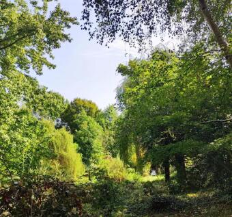 Property Image 34