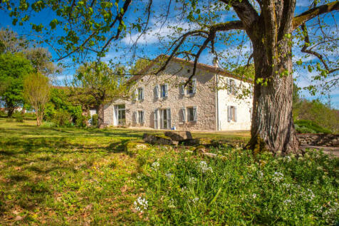 Property Image 43