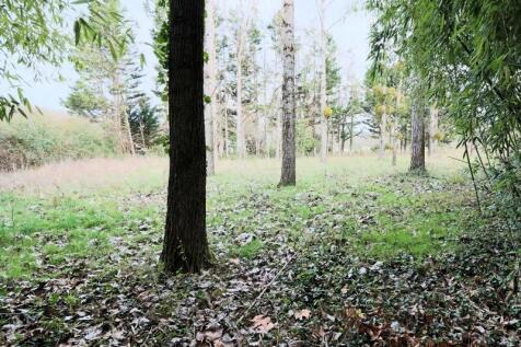 Property Image 21