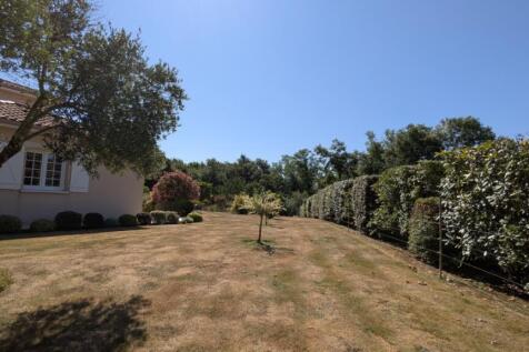 Property Image 41