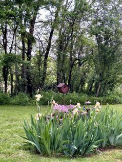 Property Image 38