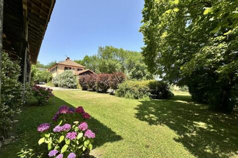 Property Image 42