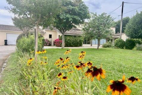 Property Image 26