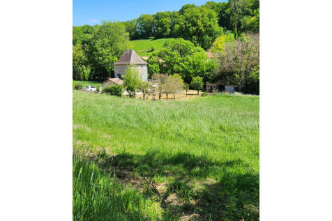 Property Image 13
