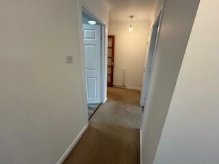 Hall continued