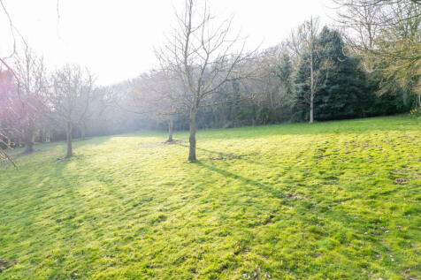 Picture 22