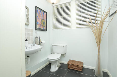 Picture 12