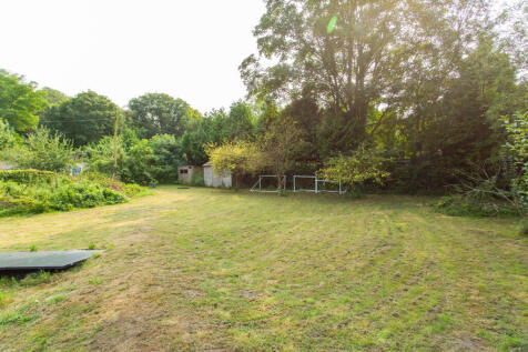 Picture 21
