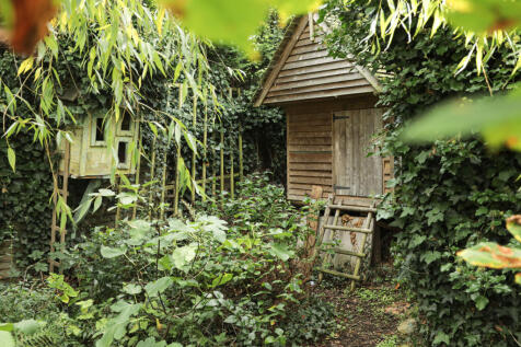 Picture 27