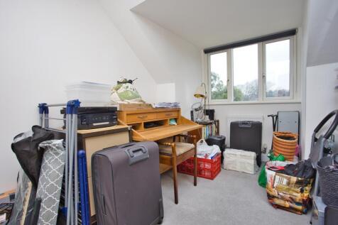 Picture 21