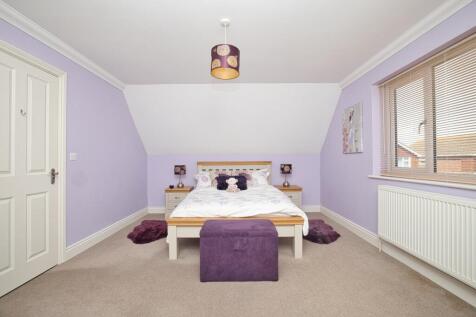 Picture 13