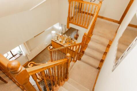 Picture 11