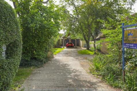Picture 36