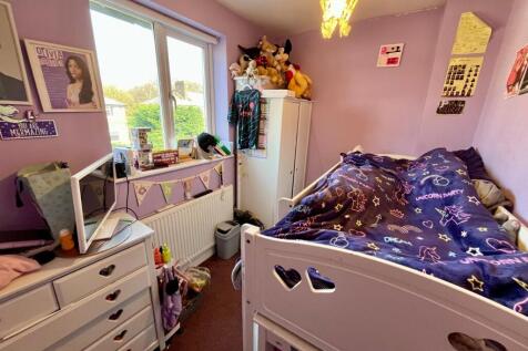 Picture 15