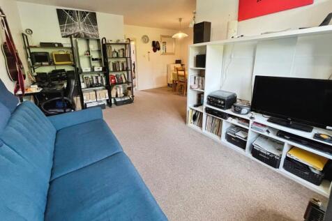 Picture 11