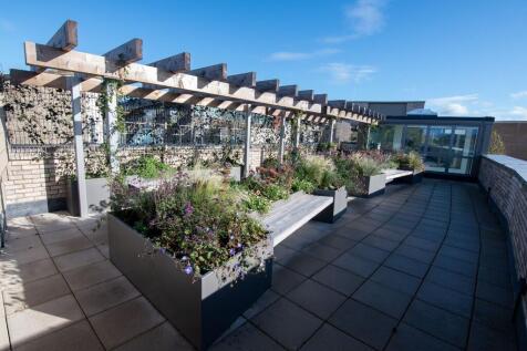Roof Terrace