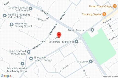 Google Maps Image