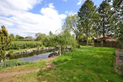 Pond garden