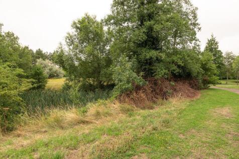 Nearby Greenery