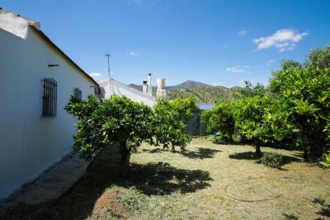 Property Image 23