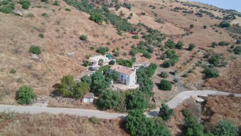 Property Image 31