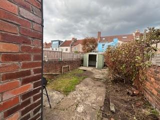 Garden.jpg