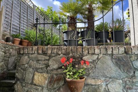 IMG_6547 garden.jpeg