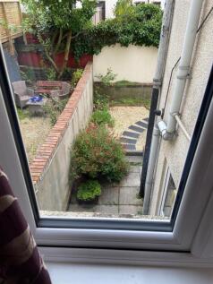 garden.jpg