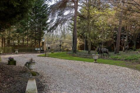 Property Image 21