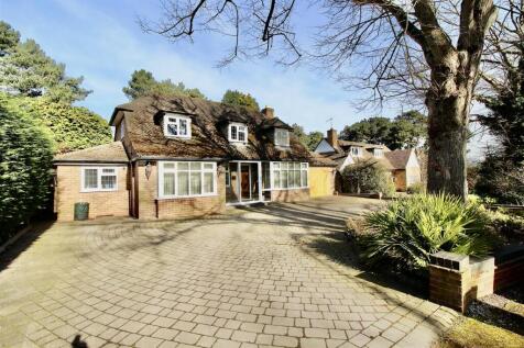 Front Garden/Driveway