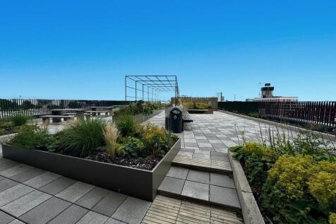 COMMUNAL ROOFTOP 2