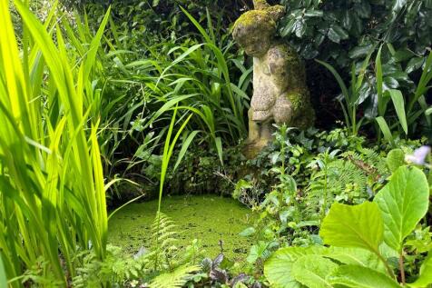 Pond.jpg