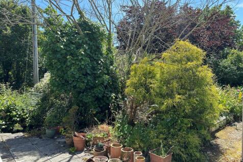 Garden.jpg