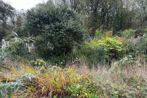 Garden.jpg