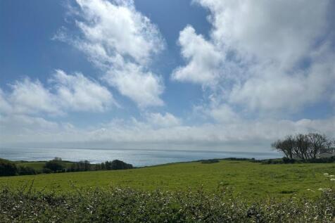 View From Caravan.jpg