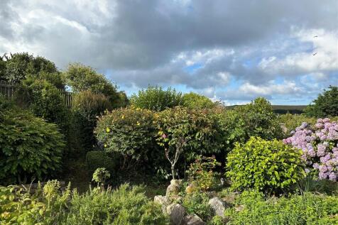 Garden 2.jpg