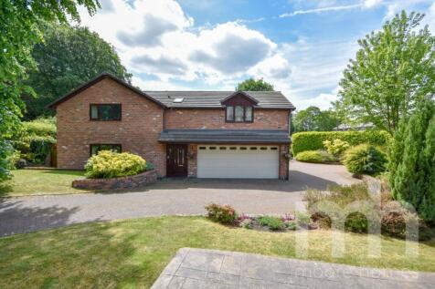 Property Image 32