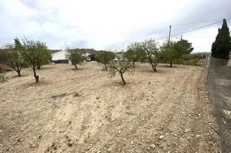 Property Image 9