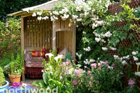 Property Image 19