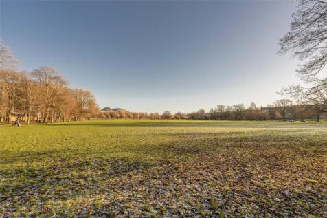 The Meadows