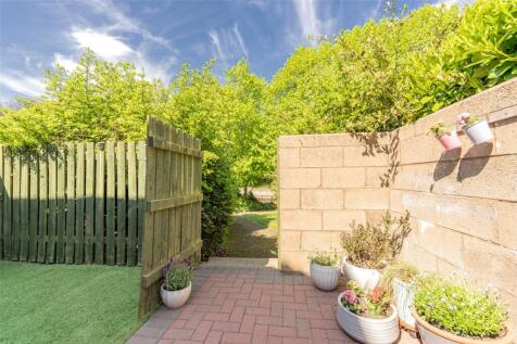 Rear Garden Alt