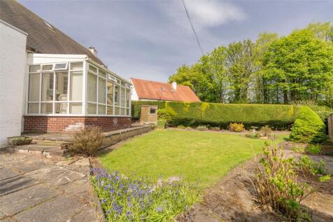 Rear Garden Alt