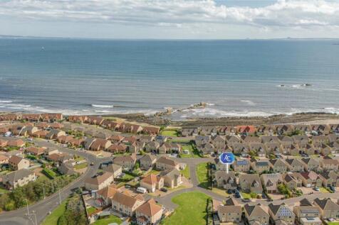 Ariel Shot