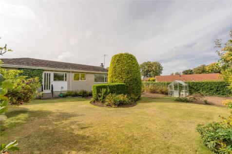 Rear Garden Alt